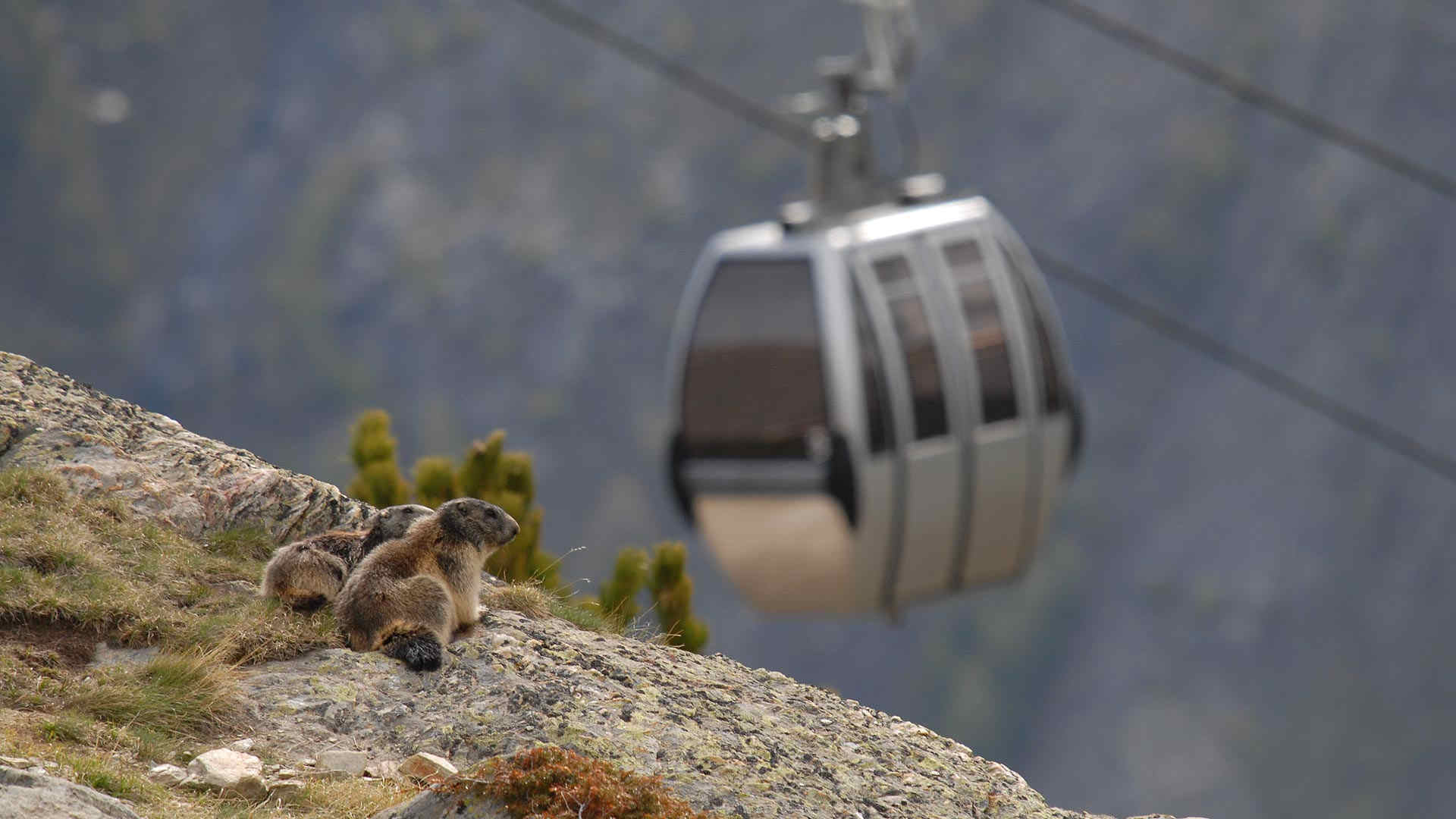 bergbahnen saas-fee